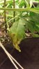 20140319_163324_resized.jpg