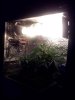 CAM00360.jpg