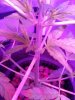 20140402_162739.jpg