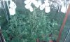 20140330_160828.jpg