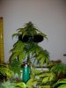 28_Nov_2011_Z6_1.JPG