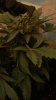 DSC03762.jpg