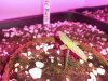 20140405_132236.jpg