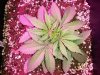 20140405_131929.jpg
