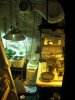 IMG_0523.jpg