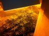 mary and jane day 40.jpg