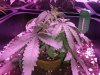 20140407_003213.jpg