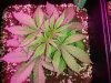 20140407_101555.jpg