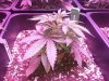 20140407_101701.jpg