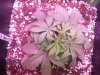 20140407_003218.jpg