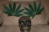 Sun Leaves n Skull.jpg