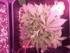 20140409_152940.jpg