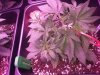 20140409_152923.jpg