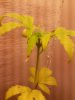 IMG_20140410_175847.jpg