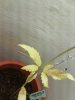 IMG_20140410_175835.jpg