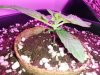 20140412_001053.jpg