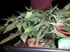20140414_144642.jpg