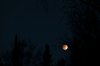041414 - The Blood Moon and the Night Sky.jpg 041414 - The Blood Moon and the Night Sky.jpg