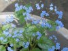 Todays Pics,LST gear 4-21 047.jpg