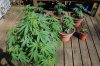 Todays Pics,LST gear 4-21 059.jpg