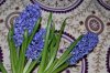 outdoor soil n Laurel 017.jpg