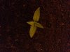 20140424_202519.jpg