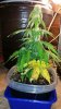 20140502_215255.jpg