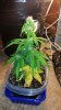20140502_215248.jpg