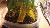20140502_215316.jpg