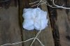 Compost Tea Pack add-ons 008.jpg