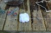 Compost Tea Pack add-ons 007.jpg