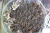 Compost Tea Pack add-ons 003.jpg