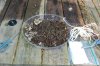 Compost Tea Pack add-ons 002.jpg