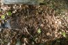 Compost Tea Pack add-ons 001.jpg