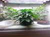 20140505_060159.jpg