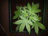 20140505_222545.jpg