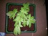20140505_222427.jpg