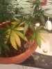 20140505_171513.jpg