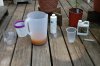 indoor garden 5-15 043.jpg