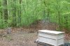 redline-outdoor 002.jpg