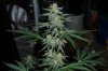indoor 044.jpg