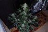indoor 043.jpg