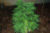 indoor 045.jpg