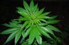 indoor 049.jpg