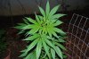 indoor 053.jpg