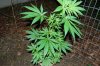 indoor 054.jpg