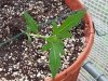 20140511_114423.jpg