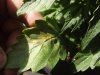 DSCF3371.jpg