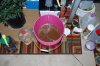 Grape Muerto Flushing 040.jpg