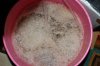 Grape Muerto Flushing 032.jpg